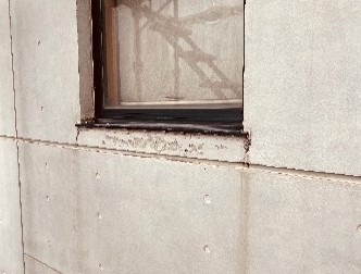 欠損部